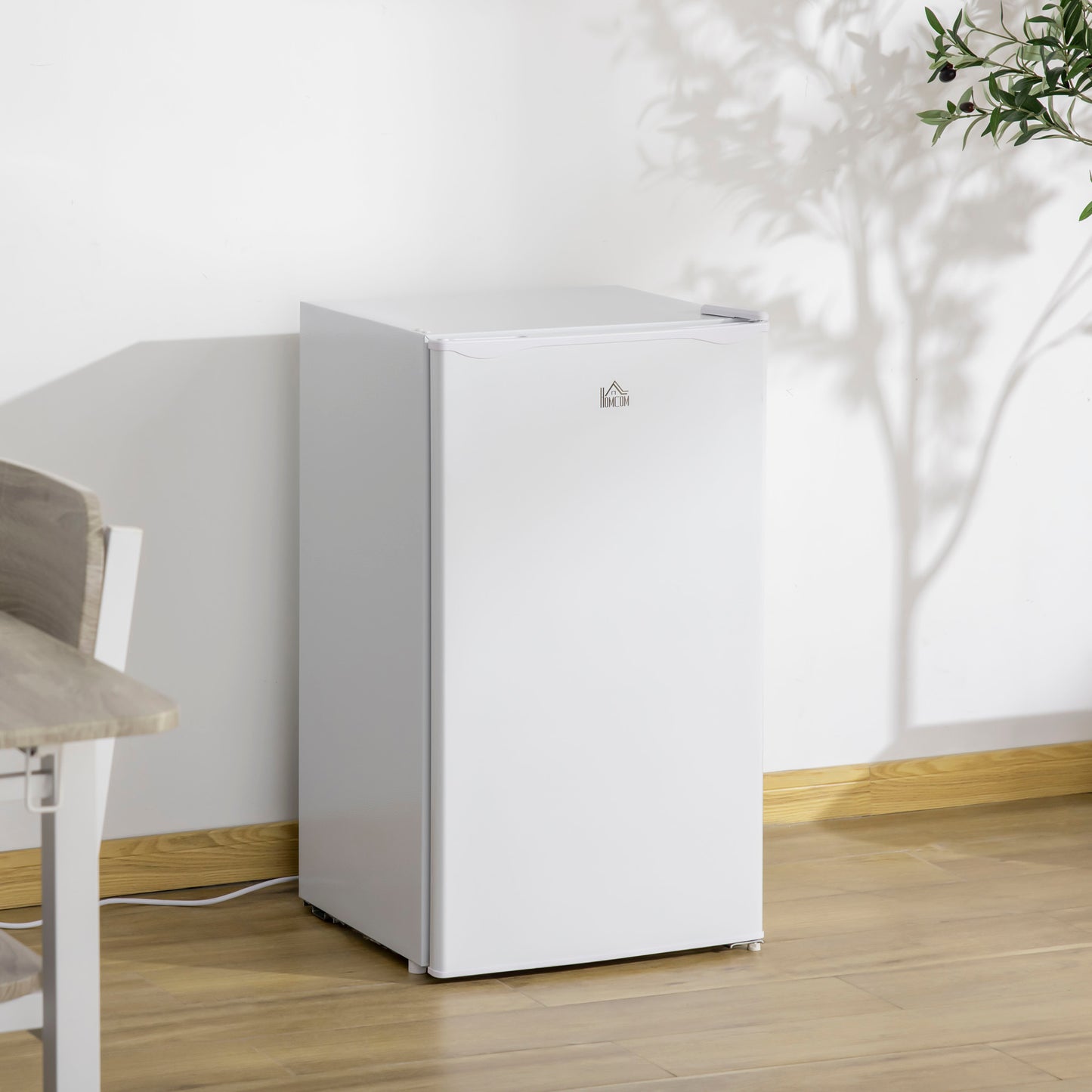 Mini Fridge with Freezer