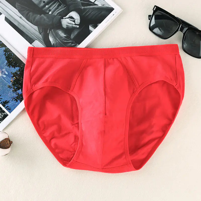 Men's Briefs - Comfortable and Stylish Underwear