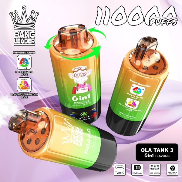 Bang Lead vape 6 flavours 10 piece