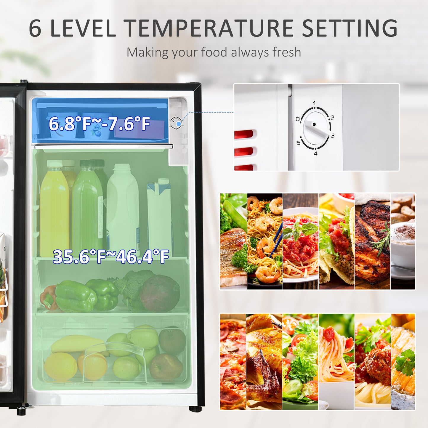 Mini Fridge with Freezer