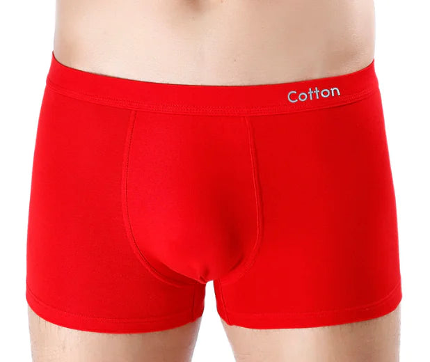 Cotton Men's Sexy Boxer Shorts Underwear